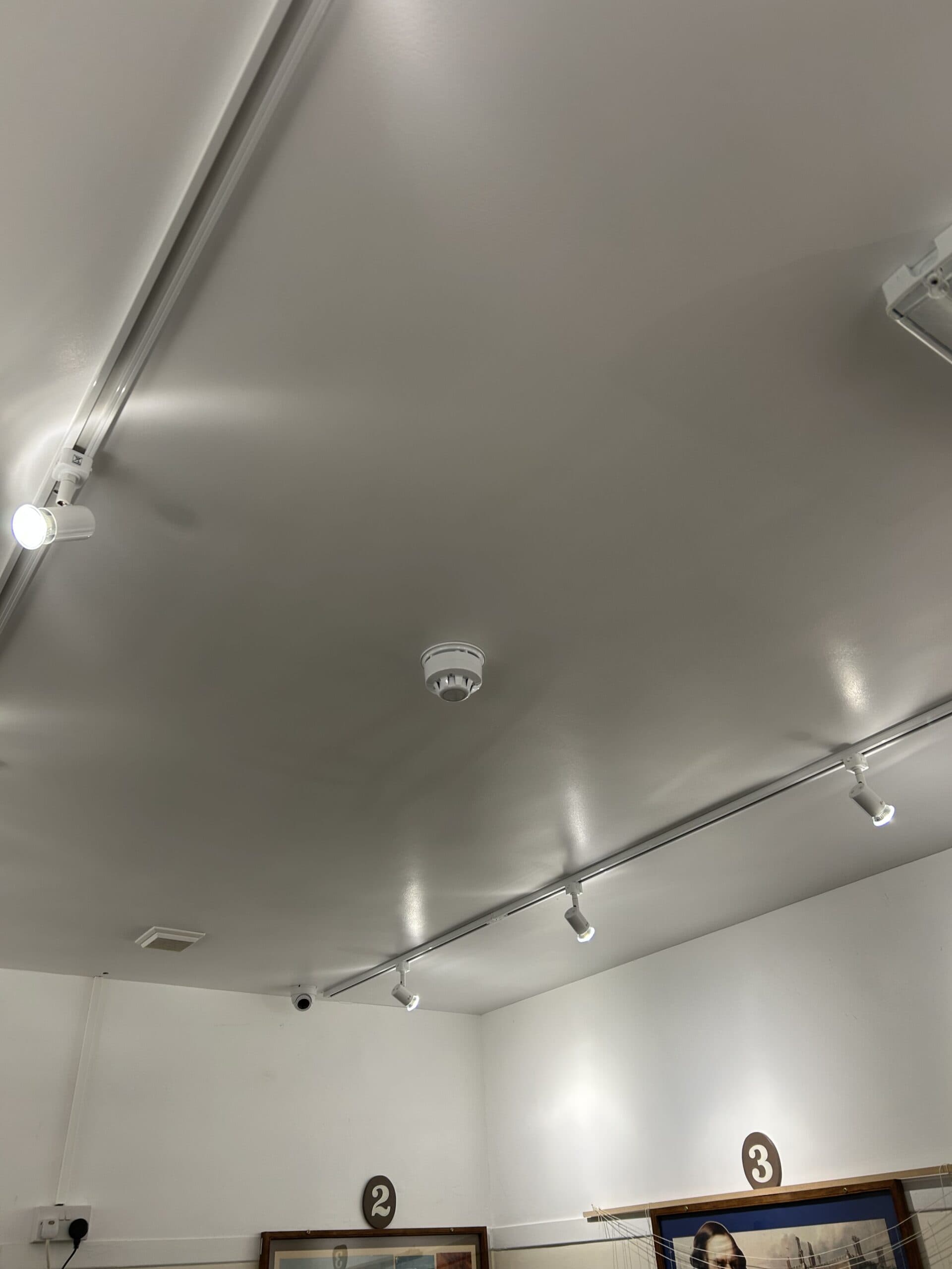 Ceiling lights and fire alarm in a gallery