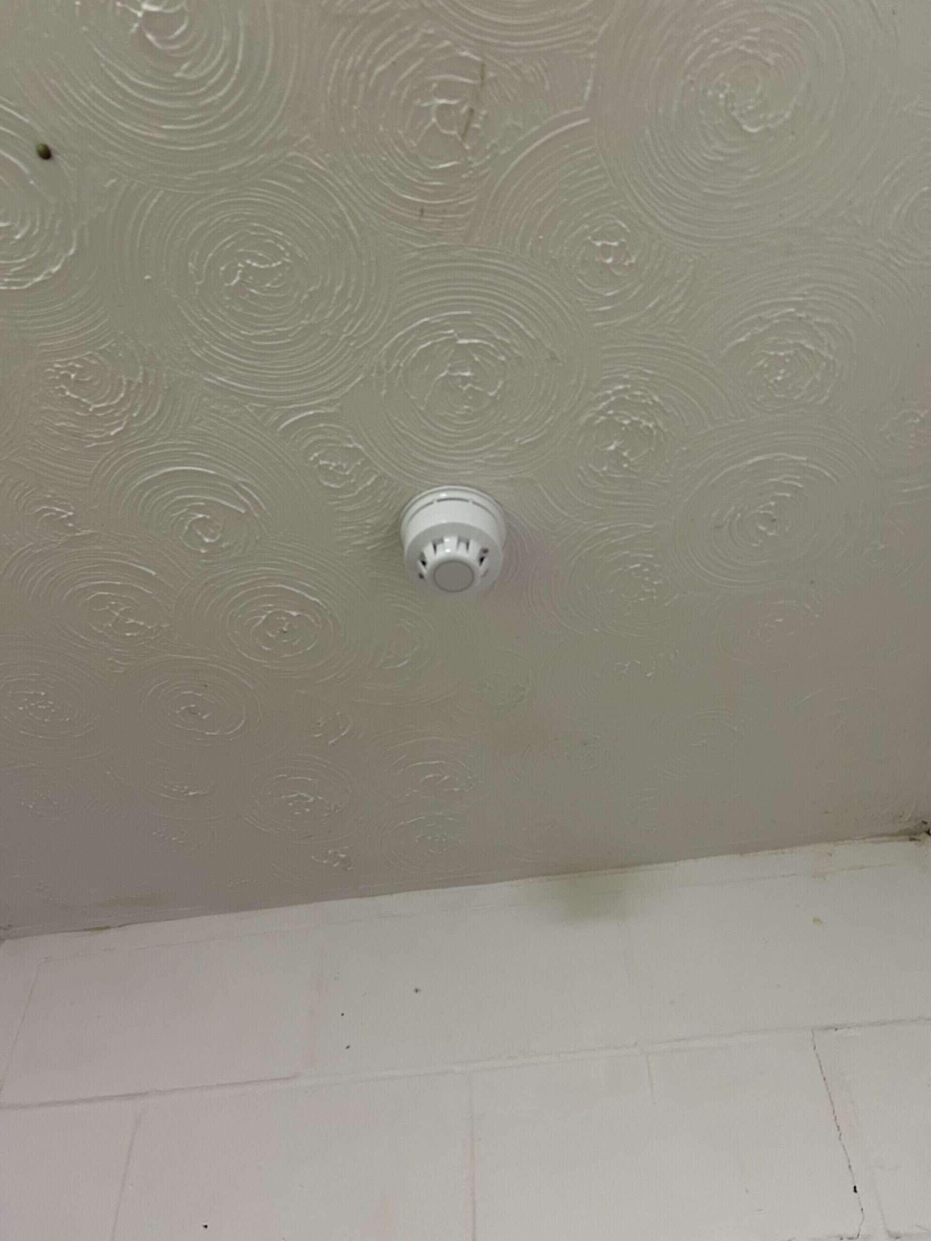 Ceiling with fire alarm and textured plaster.